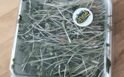 How to Use Microgreens in Cooking